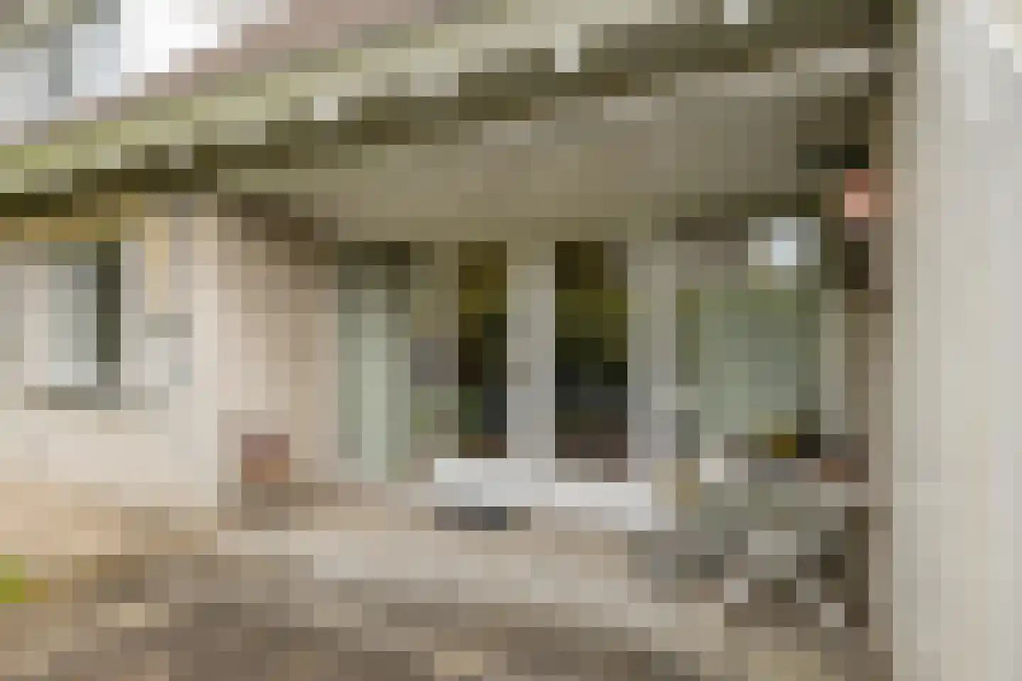 Trasmolen 3 Alphen aan den Rijn thumbnail 28
