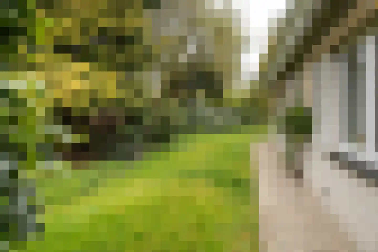 Trasmolen 3 Alphen aan den Rijn thumbnail 29