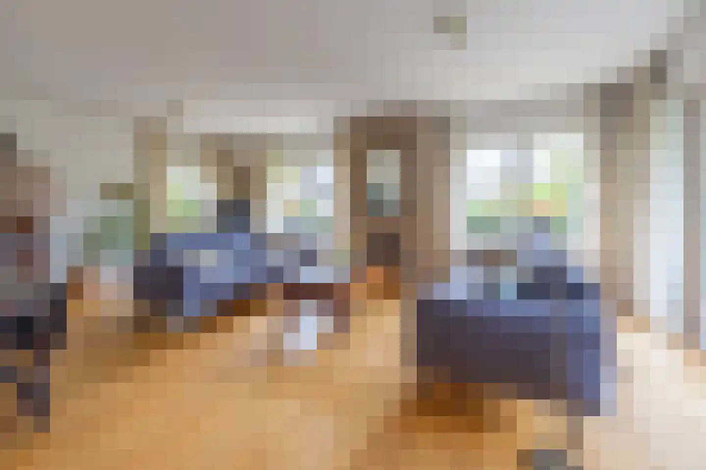 Trasmolen 3 Alphen aan den Rijn foto 3
