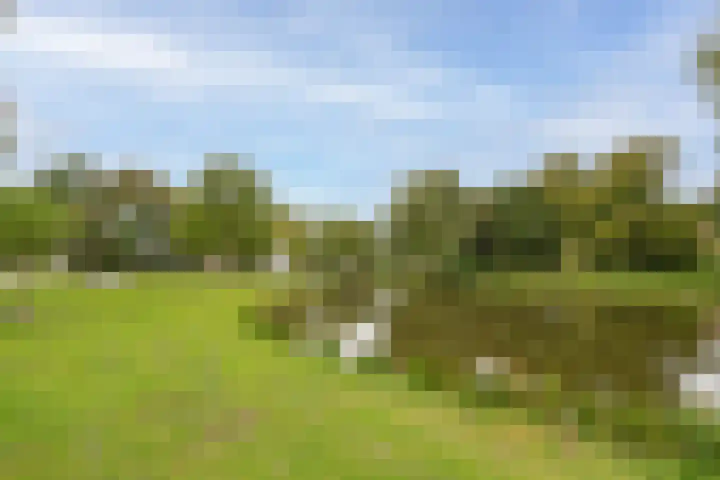 Trasmolen 3 Alphen aan den Rijn thumbnail 34