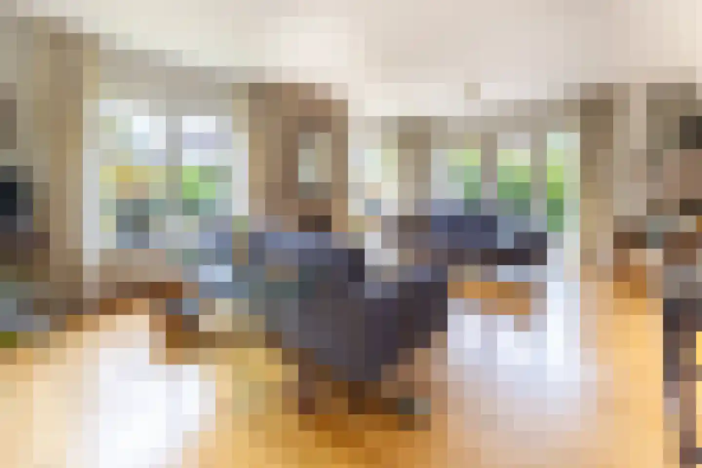 Trasmolen 3 Alphen aan den Rijn thumbnail 4