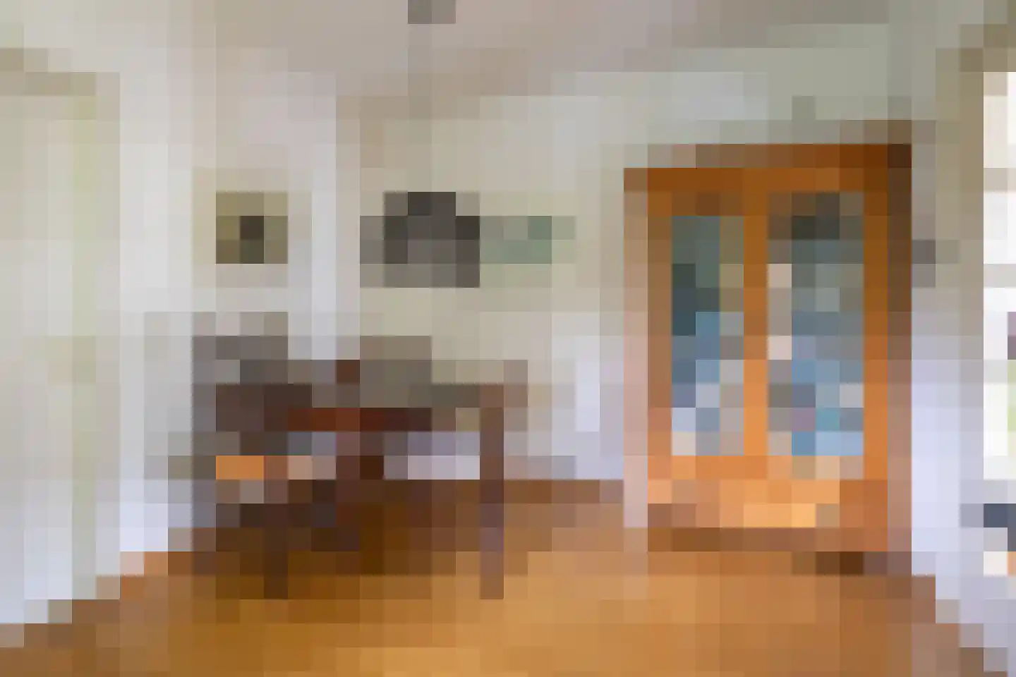 Trasmolen 3 Alphen aan den Rijn thumbnail 6