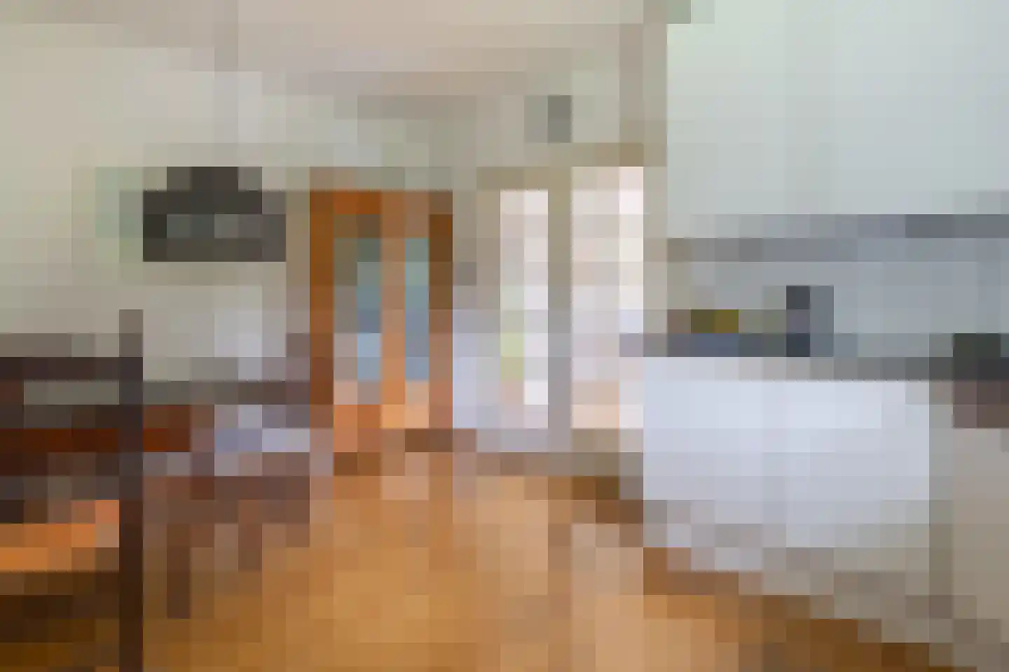 Trasmolen 3 Alphen aan den Rijn thumbnail 8