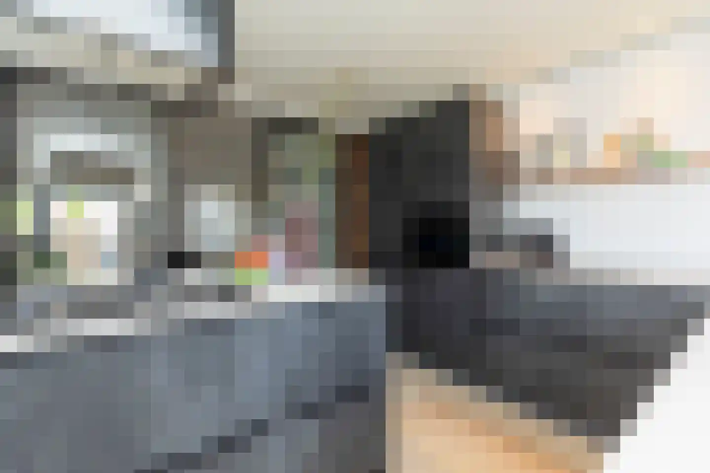Trasmolen 31 Papendrecht thumbnail 10