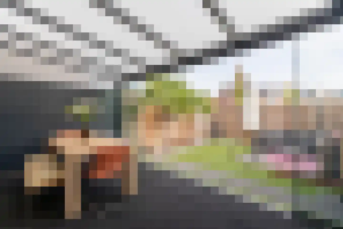 Trasmolen 31 Papendrecht thumbnail 15