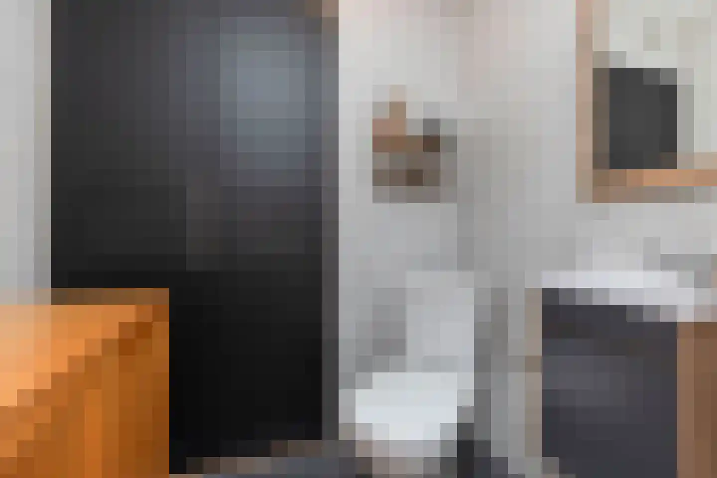 Trasmolen 31 Papendrecht thumbnail 23