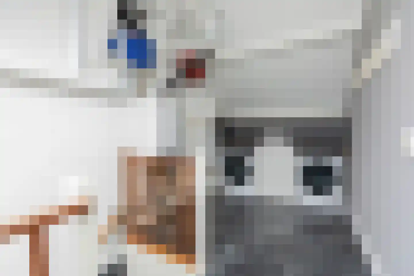 Trasmolen 31 Papendrecht thumbnail 28