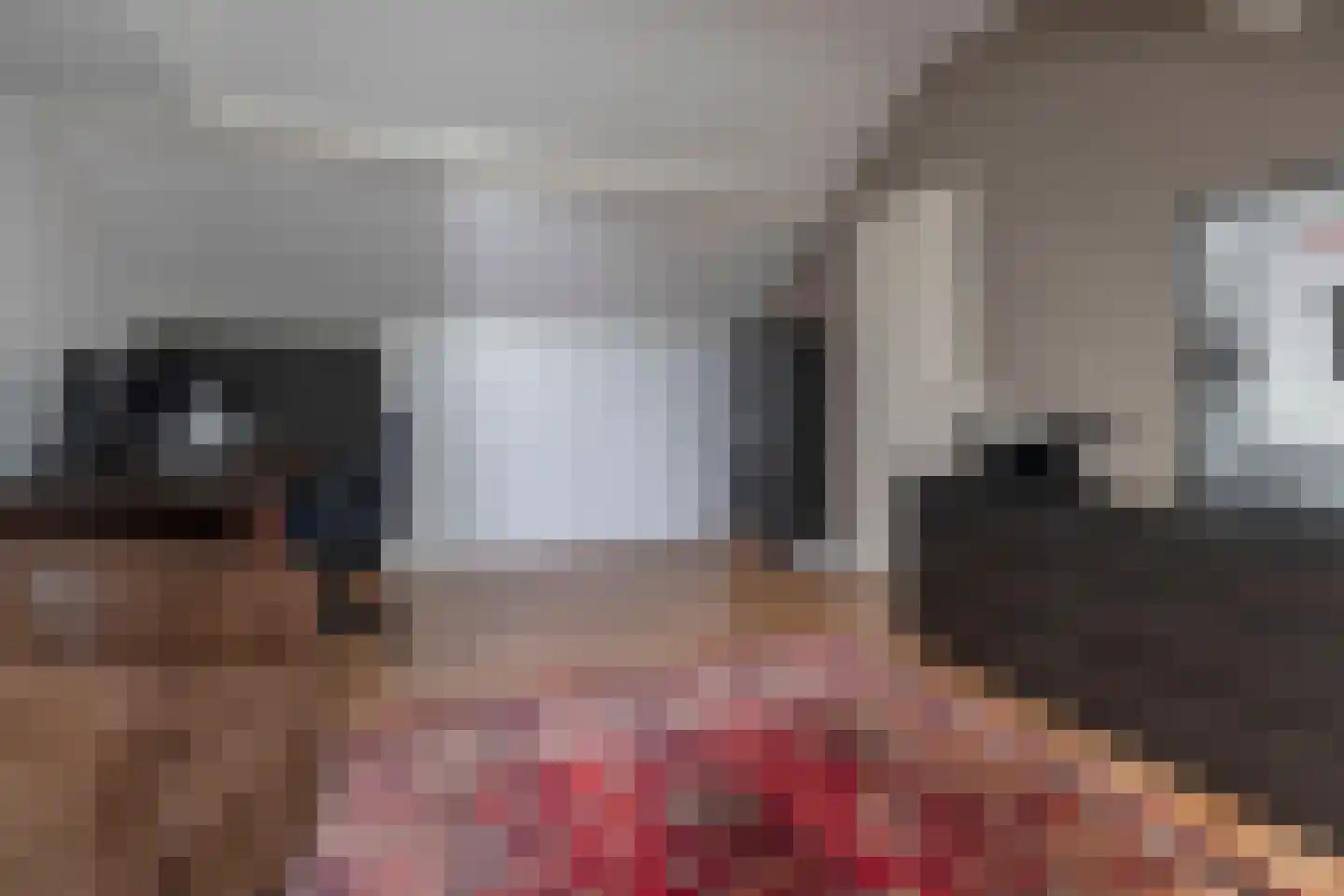 Trasmolen 31 Papendrecht thumbnail 35