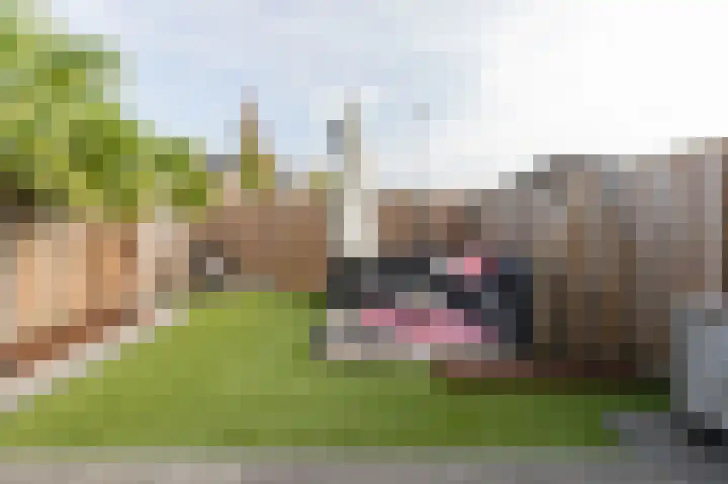 Trasmolen 31 Papendrecht thumbnail 36