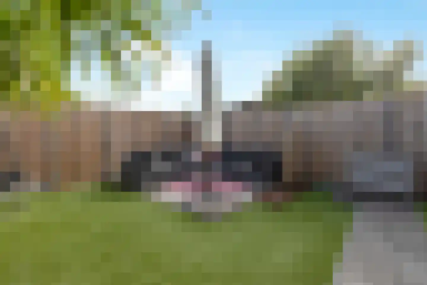 Trasmolen 31 Papendrecht thumbnail 37