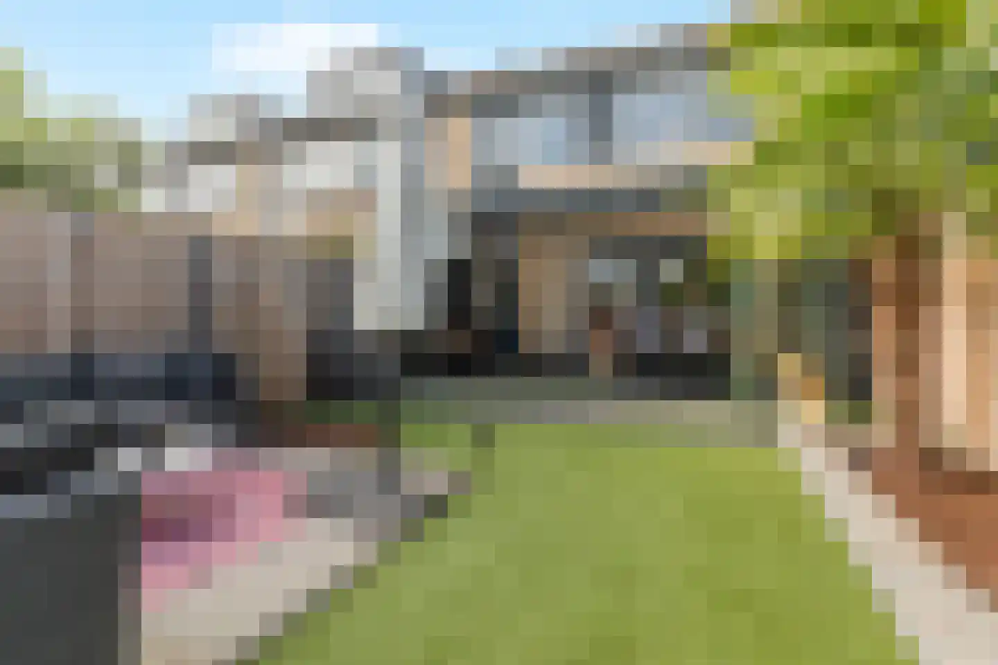 Trasmolen 31 Papendrecht thumbnail 39
