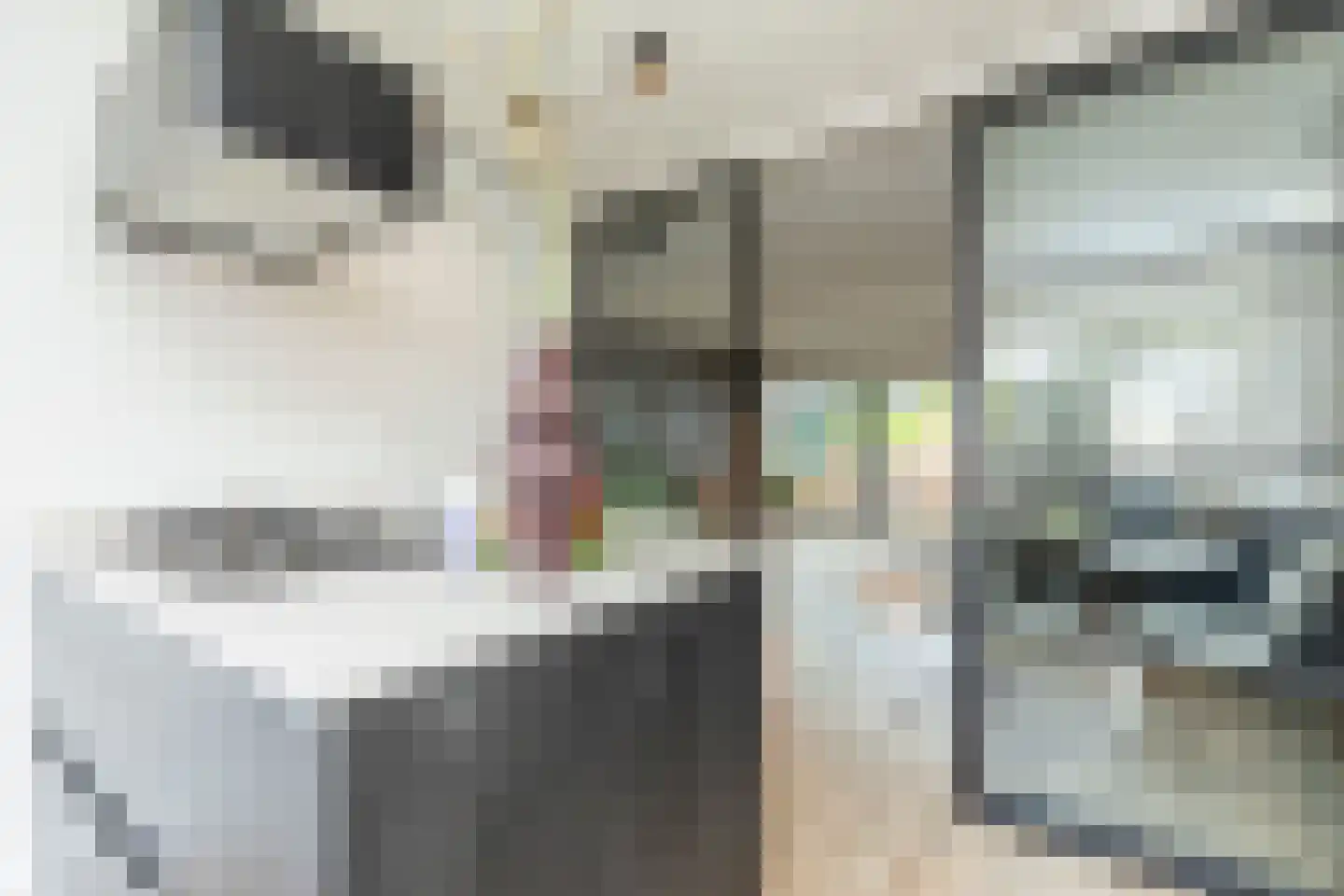 Trasmolen 31 Papendrecht thumbnail 4