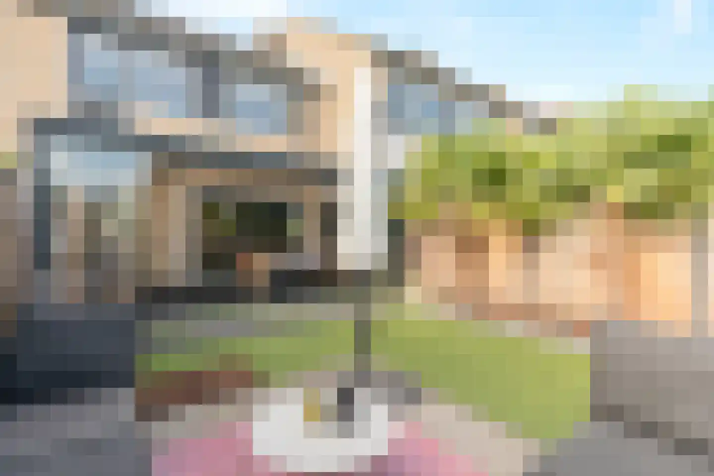 Trasmolen 31 Papendrecht thumbnail 41