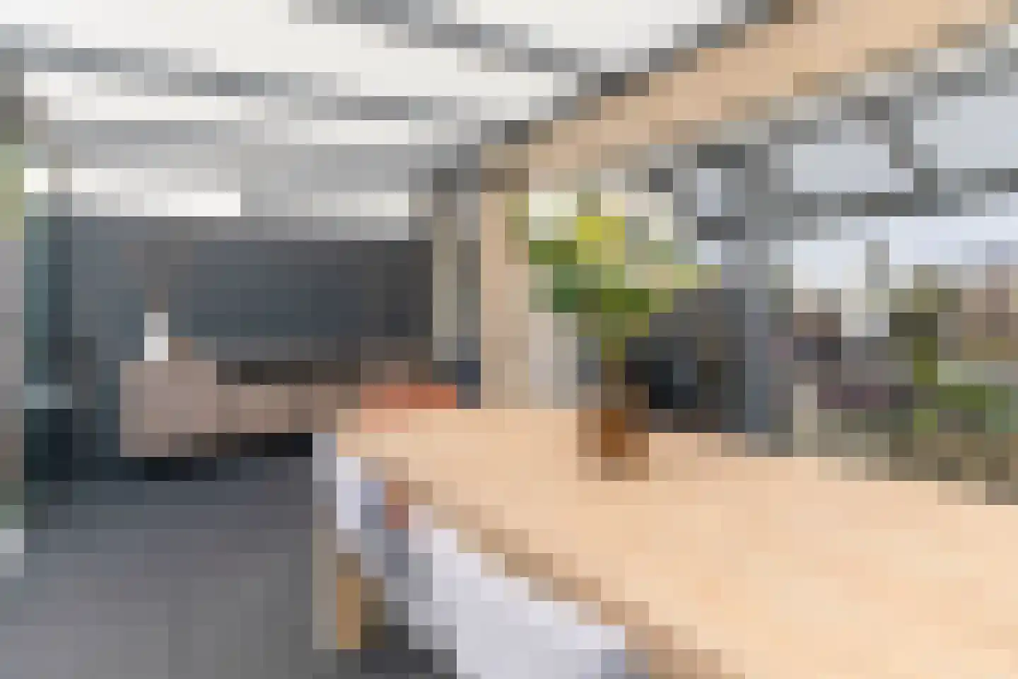 Trasmolen 31 Papendrecht thumbnail 43
