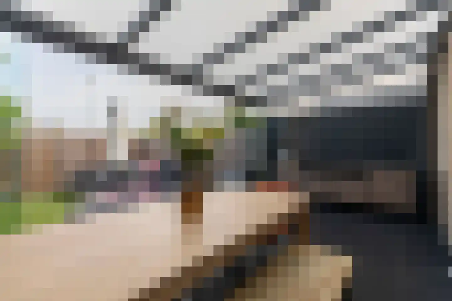 Trasmolen 31 Papendrecht thumbnail 5