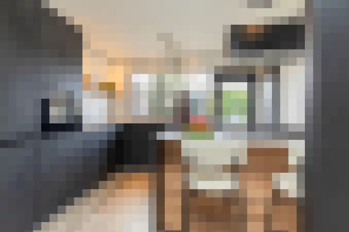 Trasmolen 31 Papendrecht thumbnail 8