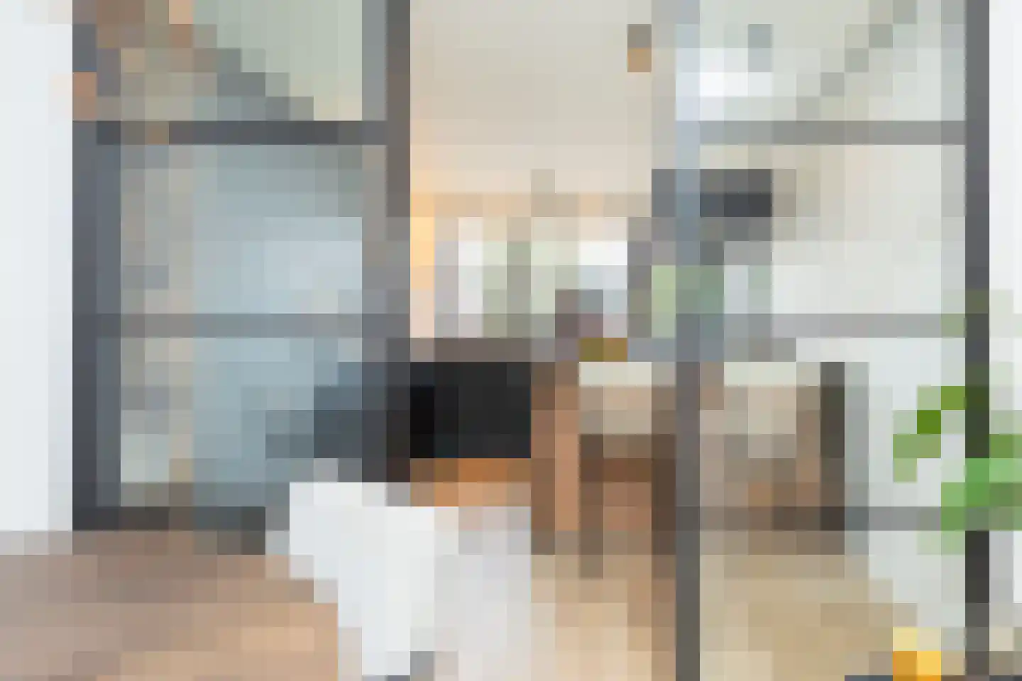 Trasmolen 31 Papendrecht thumbnail 9
