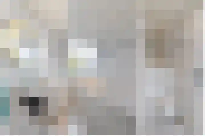 Trasmolen 4 Papendrecht thumbnail 10