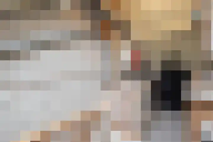 Trasmolen 4 Papendrecht thumbnail 14