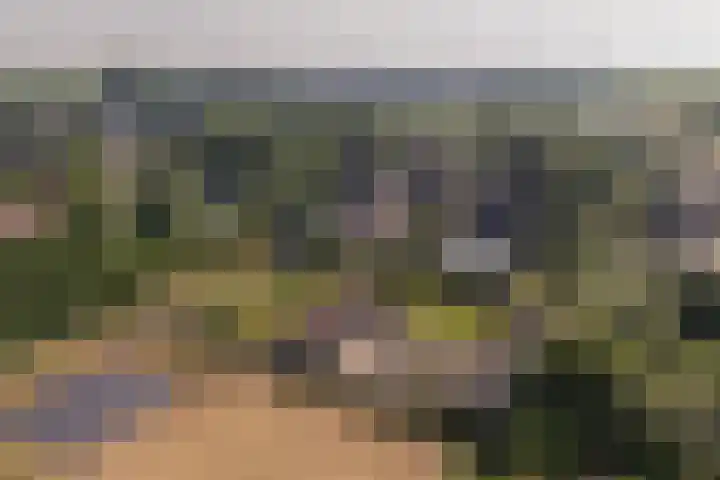 Trasmolen 4 Papendrecht thumbnail 17