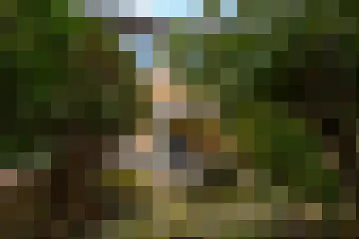 Trasmolen 4 Papendrecht thumbnail 18