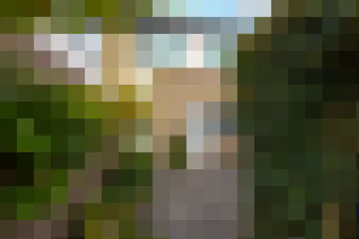 Trasmolen 4 Papendrecht thumbnail 21