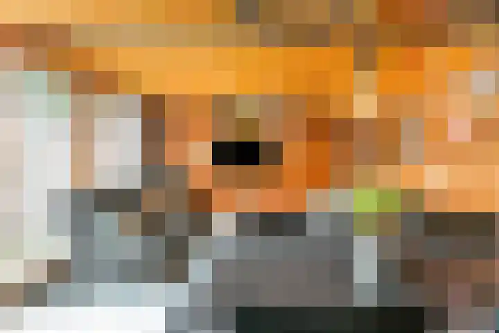 Trasmolen 4 Papendrecht thumbnail 23