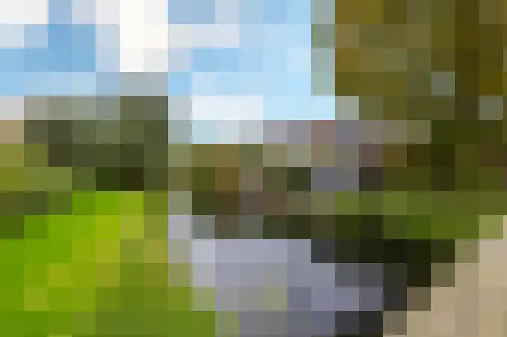 Trasmolen 4 Papendrecht thumbnail 23