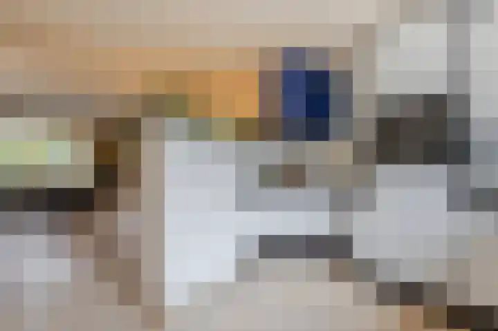 Trasmolen 4 Papendrecht thumbnail 7