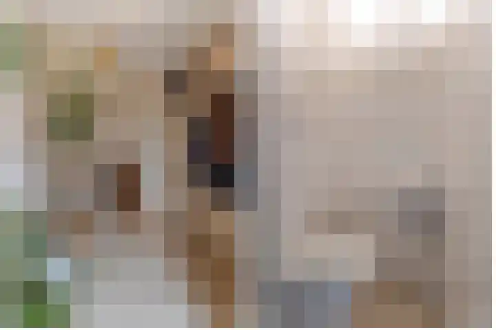 Trasmolen 4 Papendrecht thumbnail 8