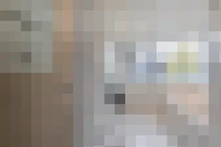 Trasmolen 4 Papendrecht thumbnail 9