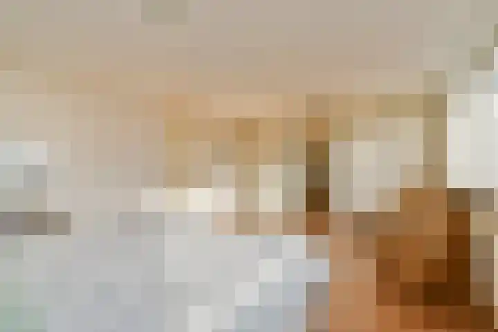 Trasmolen 5 Papendrecht thumbnail 14