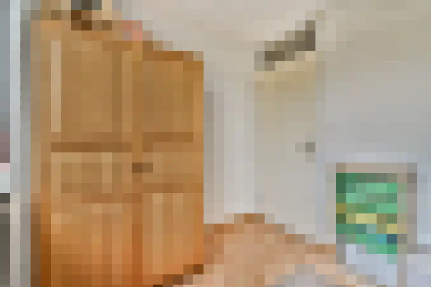 Trasmolen 5 Papendrecht thumbnail 16