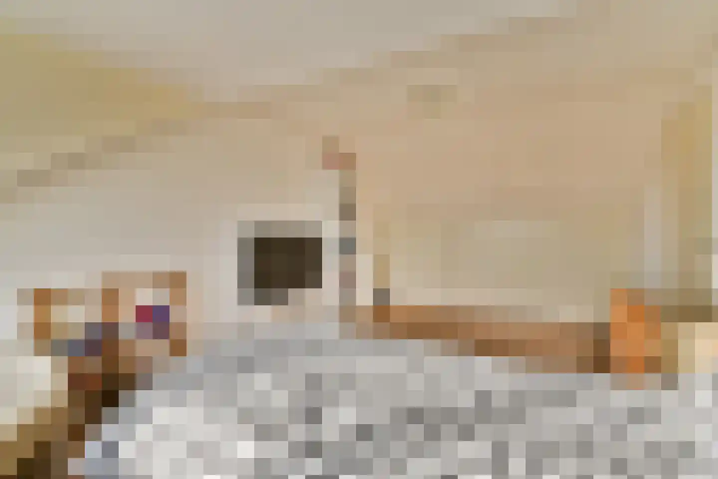 Trasmolen 5 Papendrecht thumbnail 22