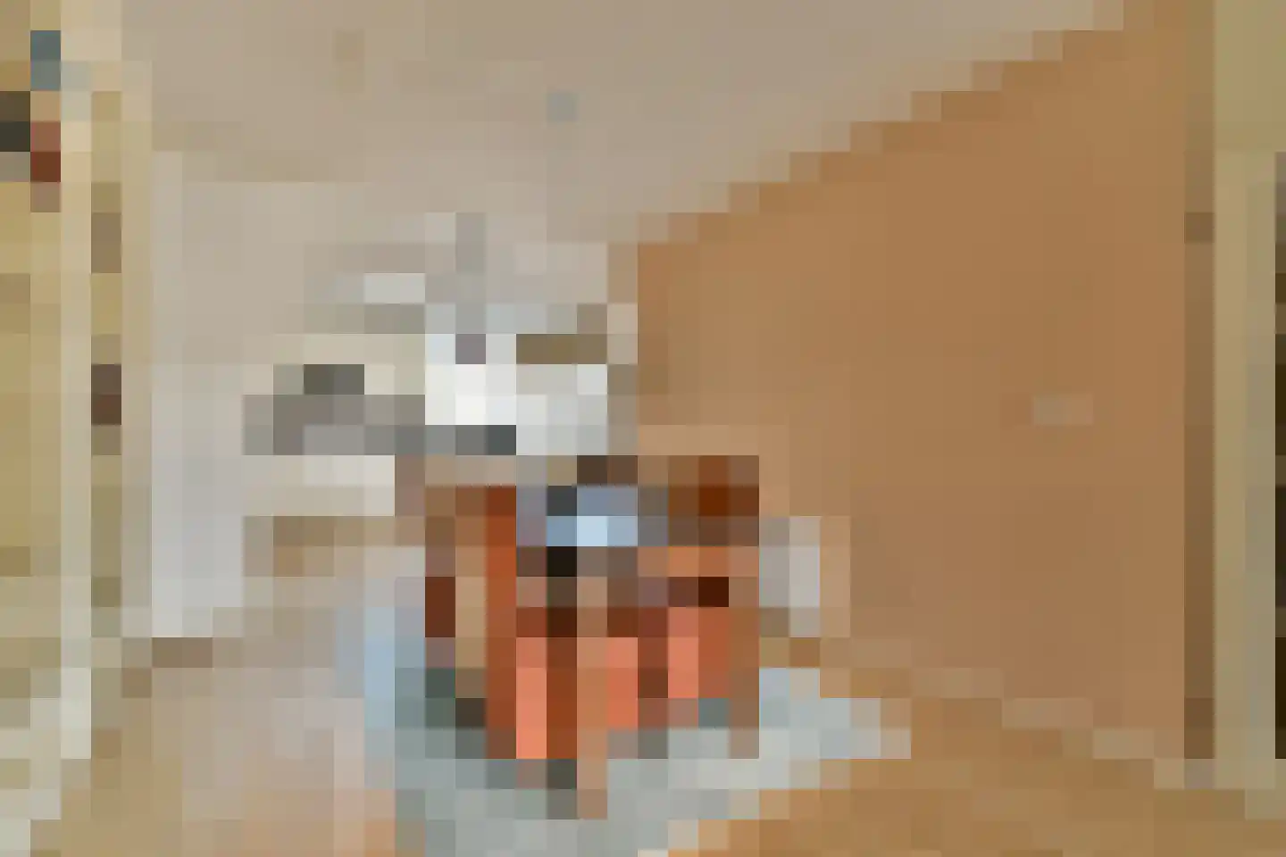 Trasmolen 5 Papendrecht thumbnail 4