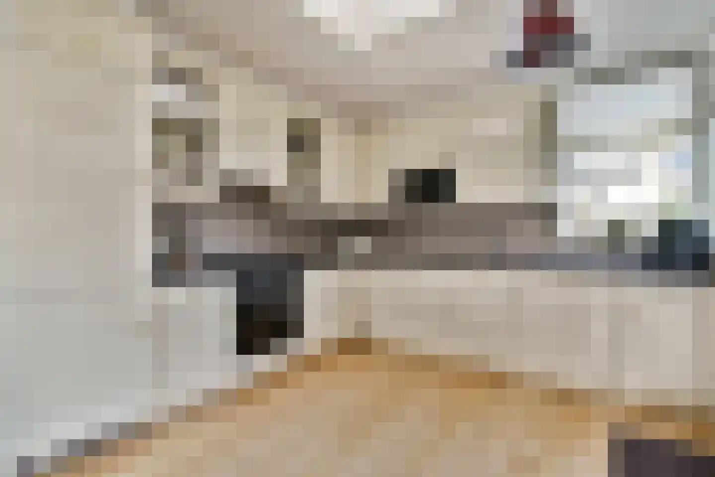 Trasmolen 5 Papendrecht thumbnail 5