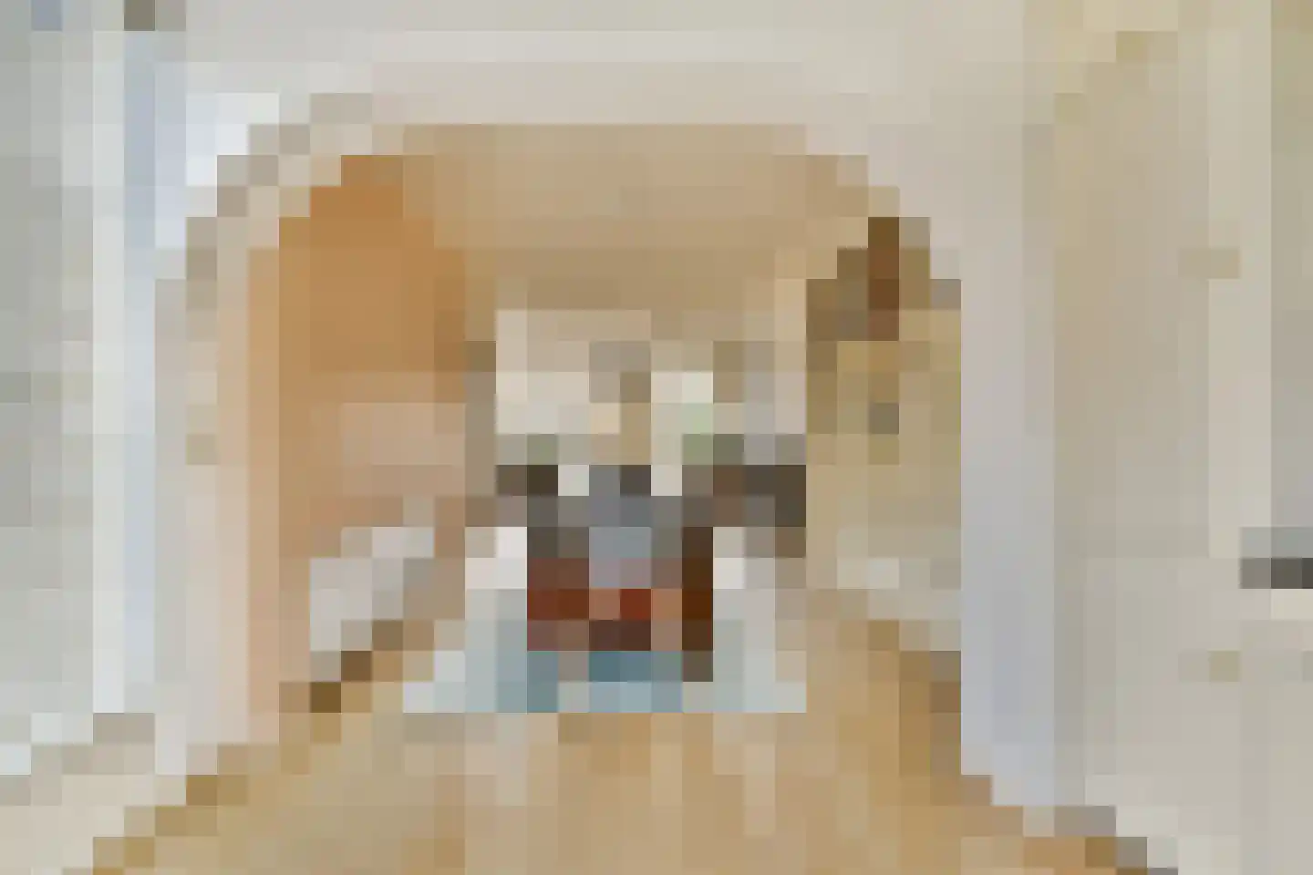 Trasmolen 5 Papendrecht thumbnail 6