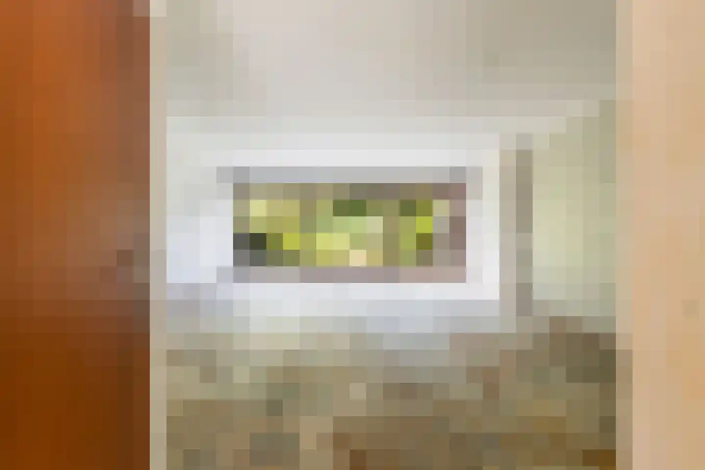Trasmolen 50 Papendrecht thumbnail 10