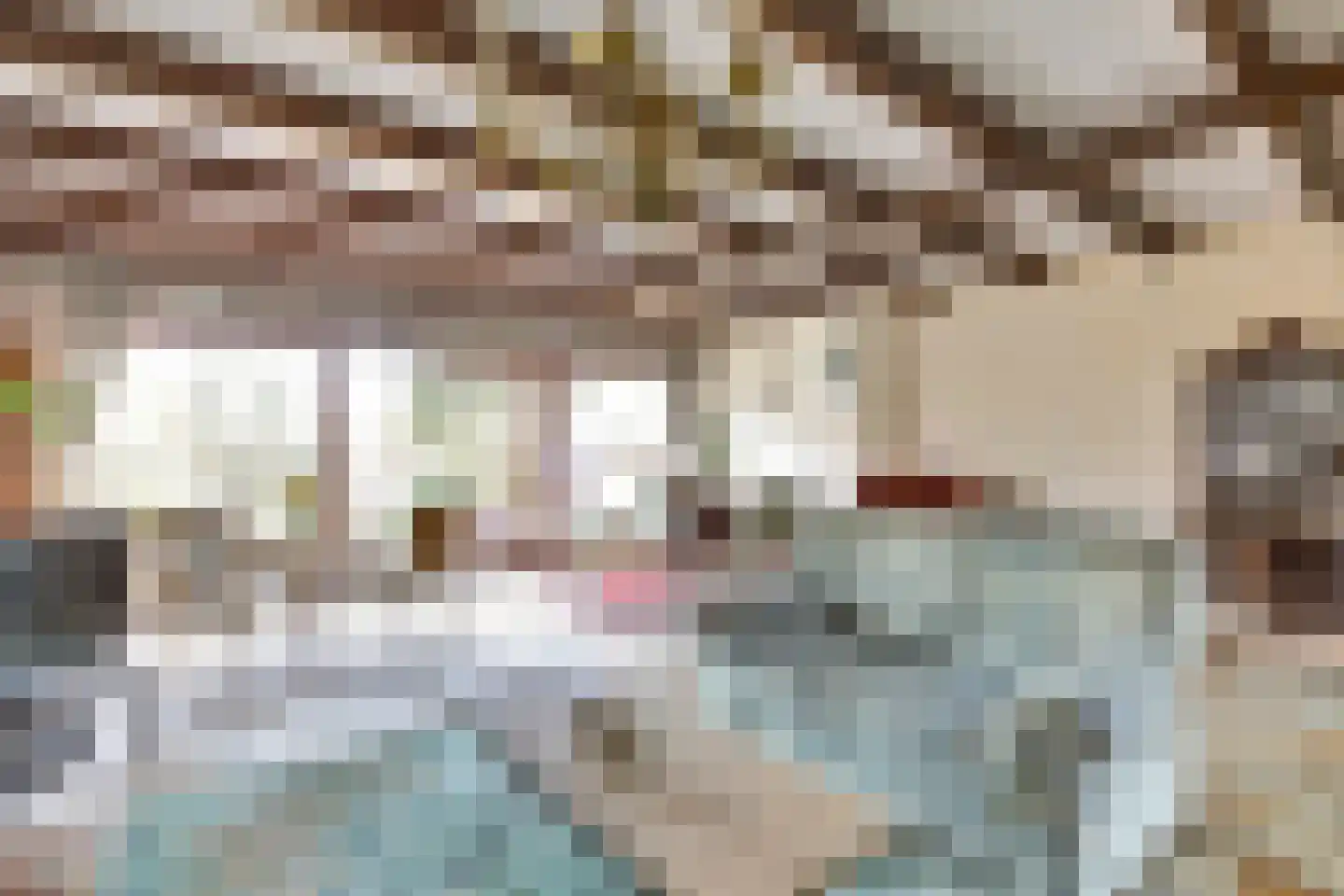 Trasmolen 50 Papendrecht thumbnail 10