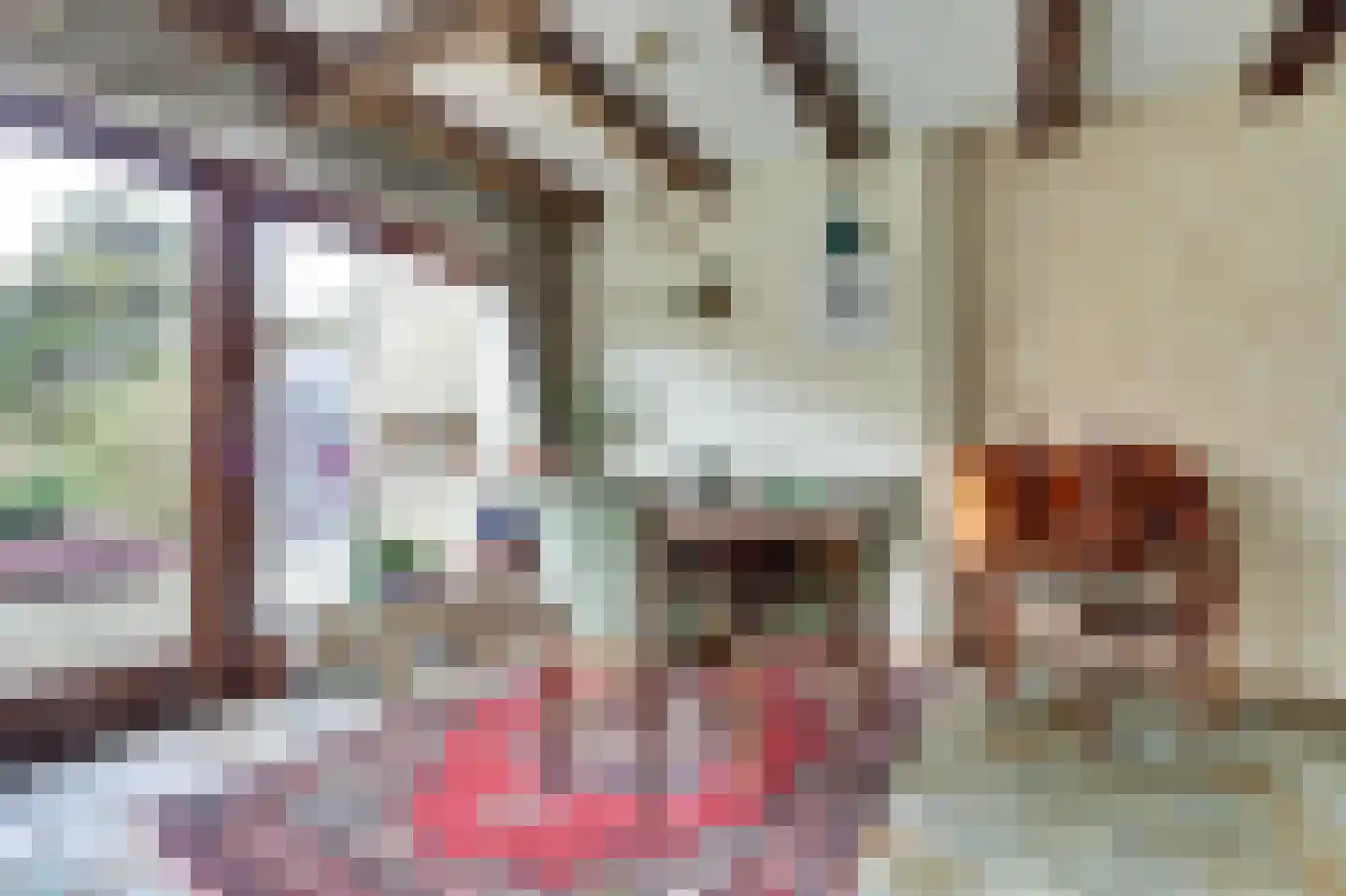 Trasmolen 50 Papendrecht thumbnail 11