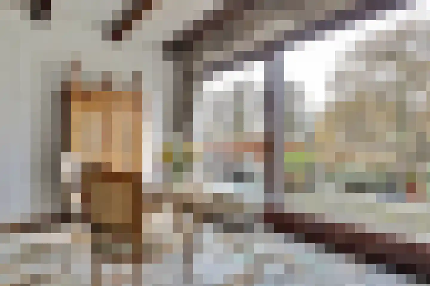 Trasmolen 50 Papendrecht thumbnail 12