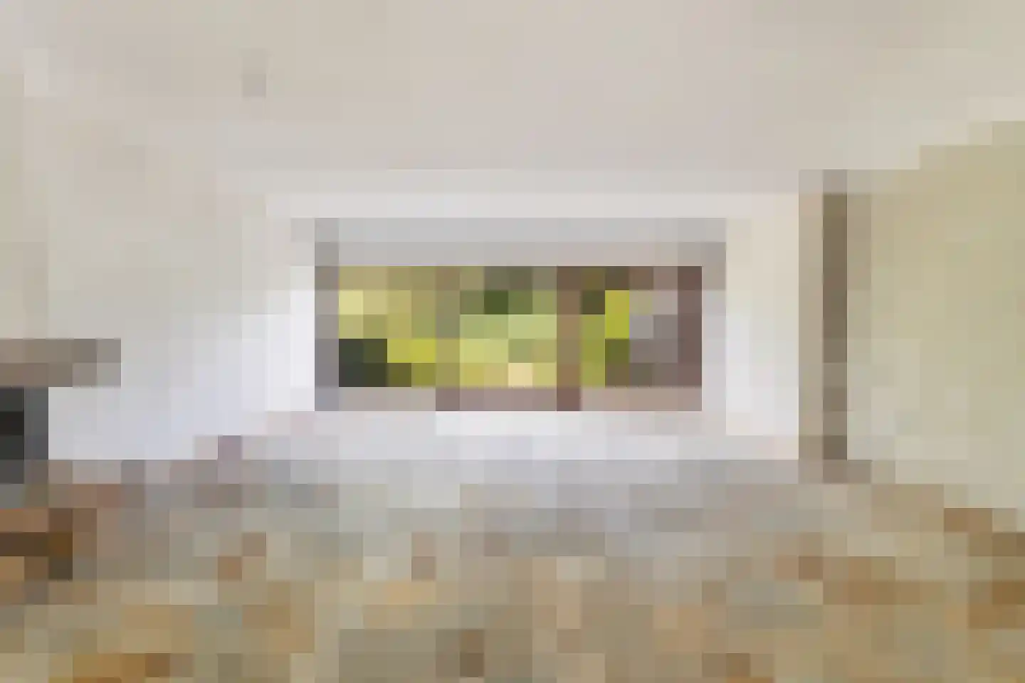 Trasmolen 50 Papendrecht thumbnail 12