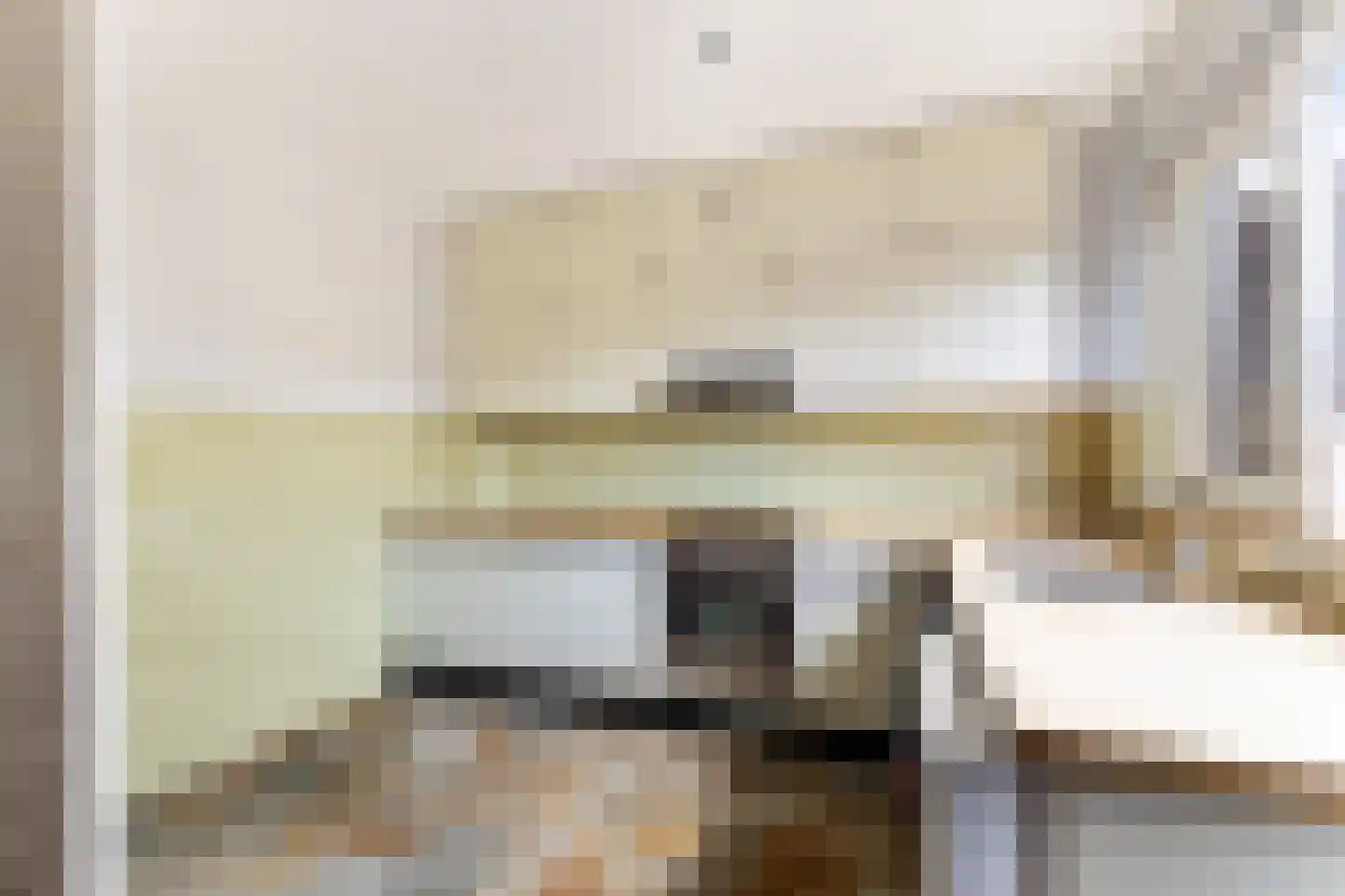 Trasmolen 50 Papendrecht thumbnail 14
