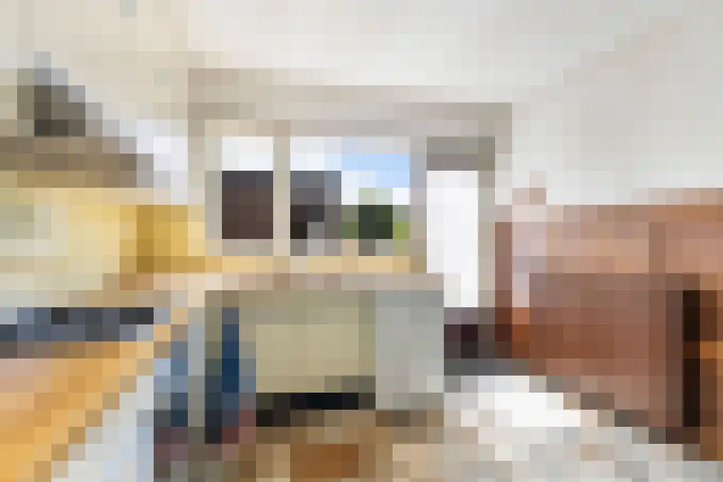 Trasmolen 50 Papendrecht thumbnail 15