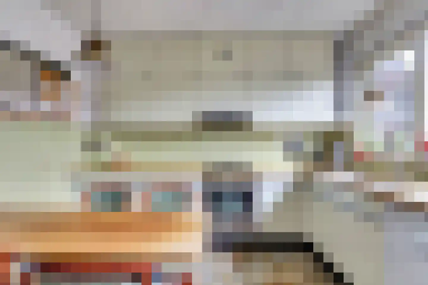 Trasmolen 50 Papendrecht thumbnail 16
