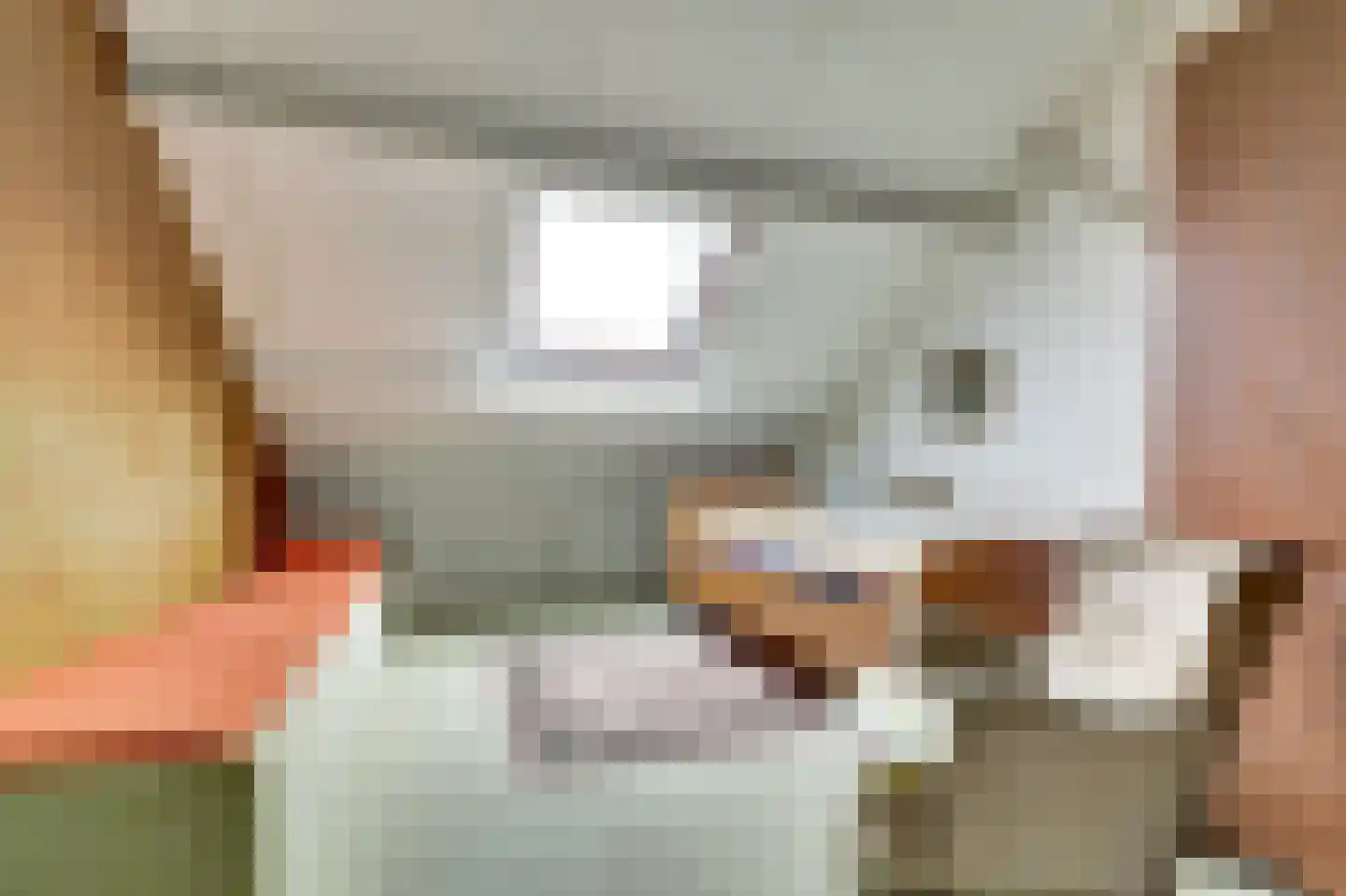 Trasmolen 50 Papendrecht thumbnail 29