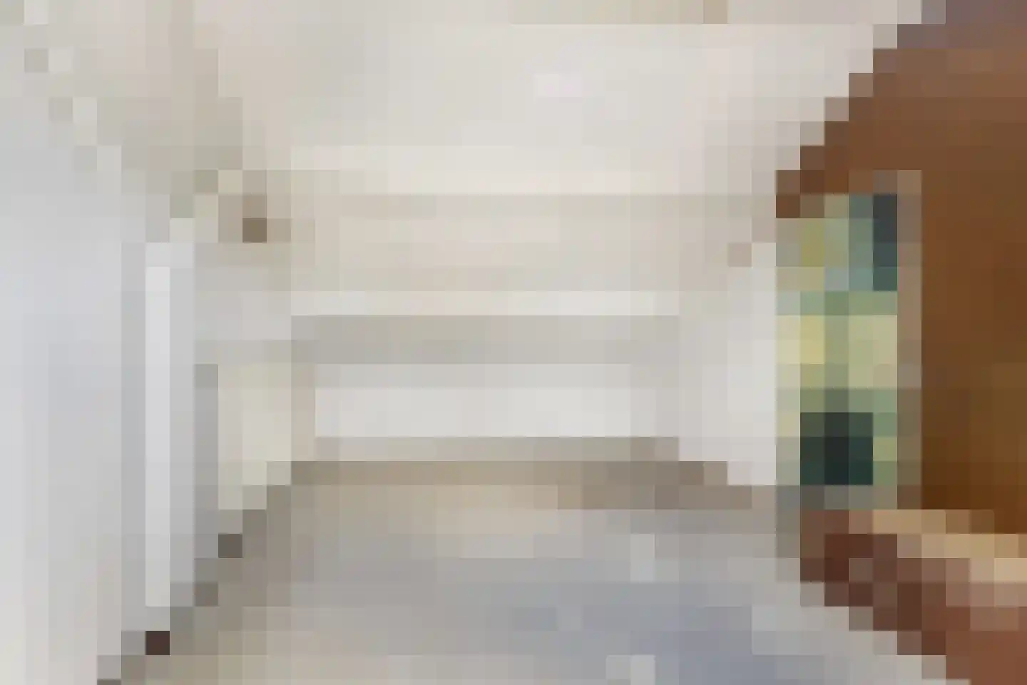 Trasmolen 50 Papendrecht thumbnail 30