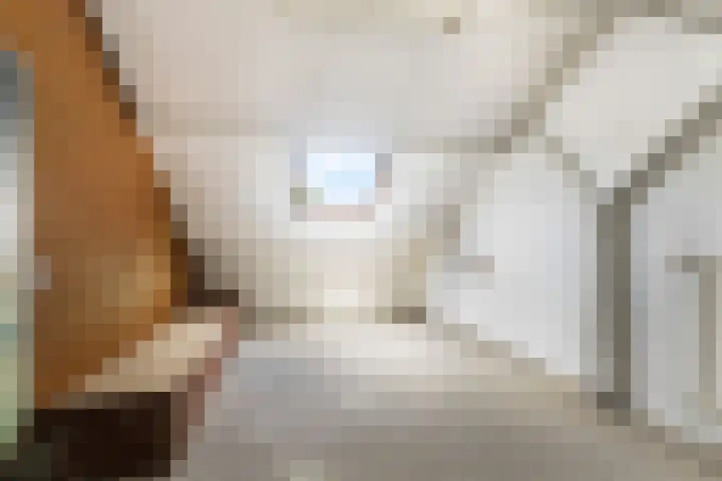 Trasmolen 50 Papendrecht thumbnail 31