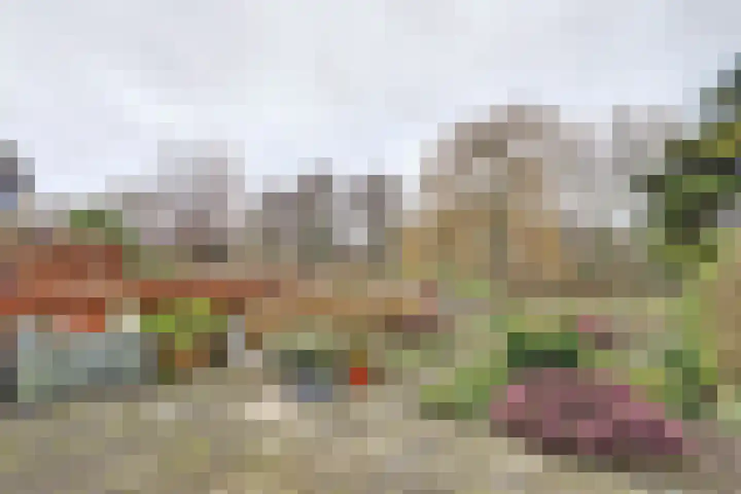 Trasmolen 50 Papendrecht thumbnail 31