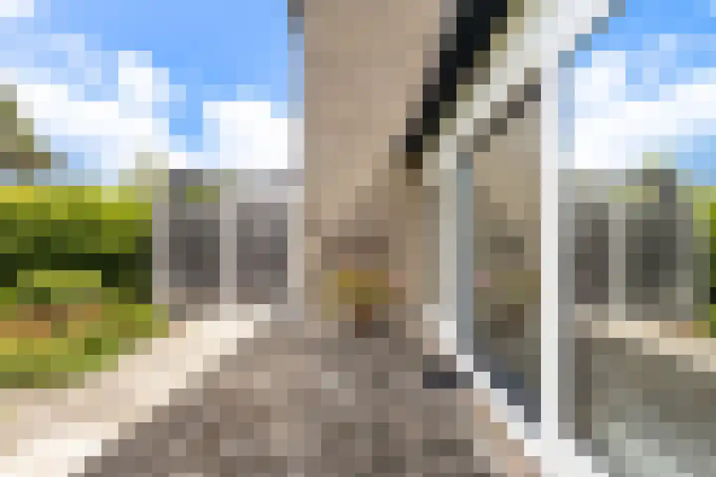 Trasmolen 50 Papendrecht thumbnail 32